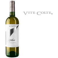 Roero Arneis Villata DOCG 2025 Vite Colte