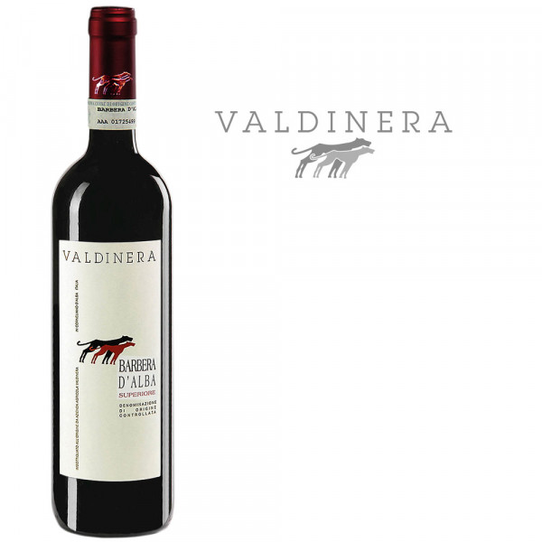 Barbera dAlba DOC Superiore 2023 Valdinera